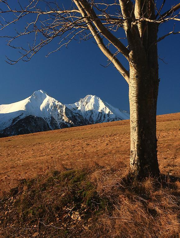 Penzion Horec III Ždiar Exteriör bild
